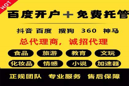 SEM服务案例：助力企业拓展海外市场